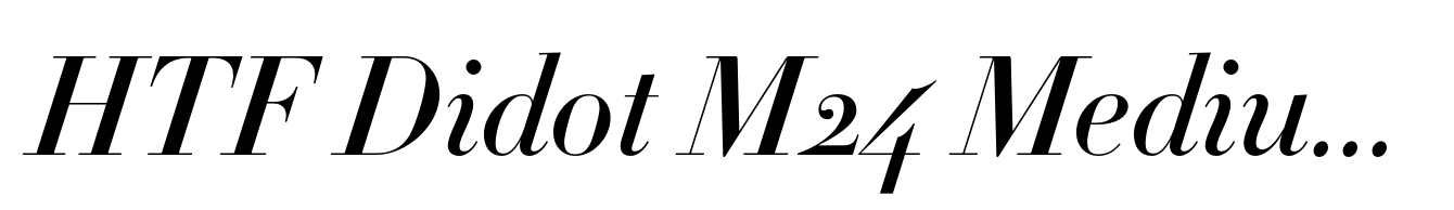 HTF Didot M24 Medium Italic